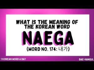 what does naega mean in korean|The Most Misunderstood N.